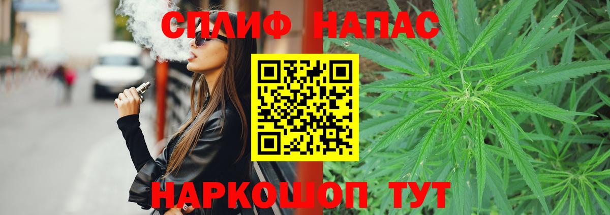 Канабис план Кингисепп